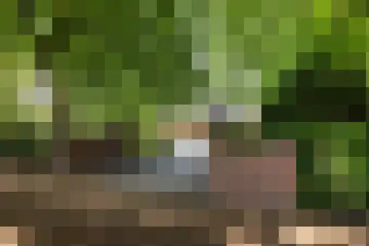Beukenlaan 4 Doornspijk thumbnail 11