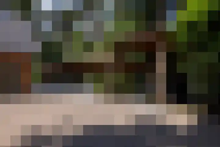 Beukenlaan 4 Doornspijk thumbnail 13