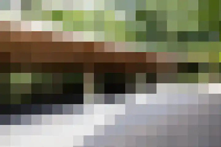 Beukenlaan 4 Doornspijk thumbnail 15
