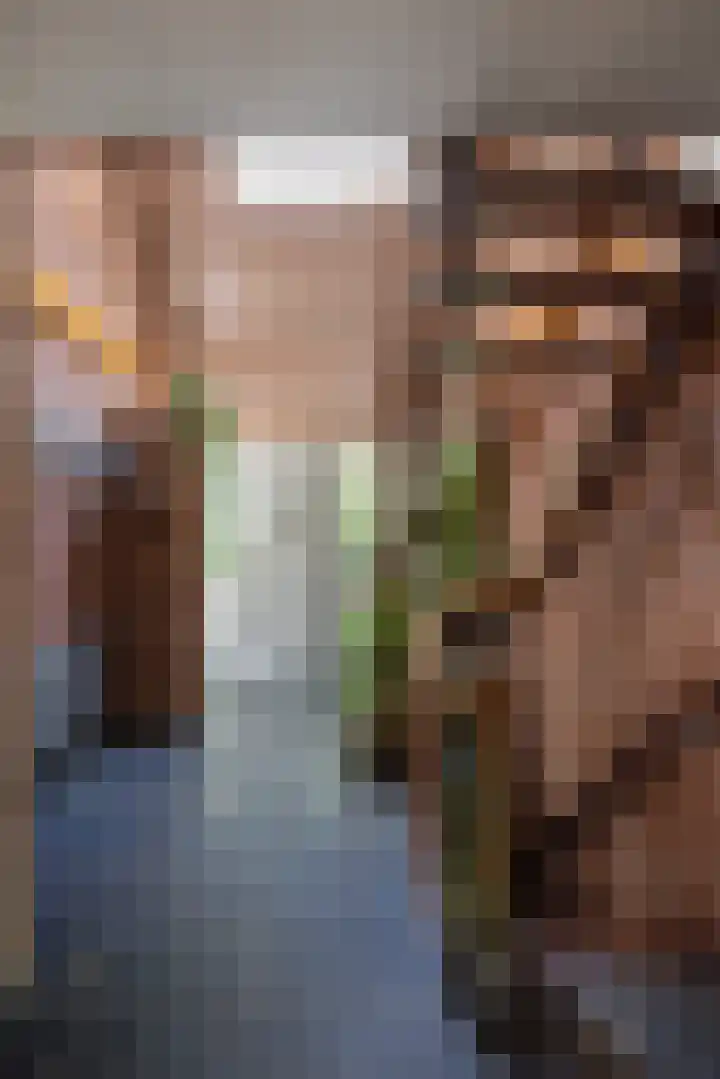 Beukenlaan 4 Doornspijk thumbnail 16