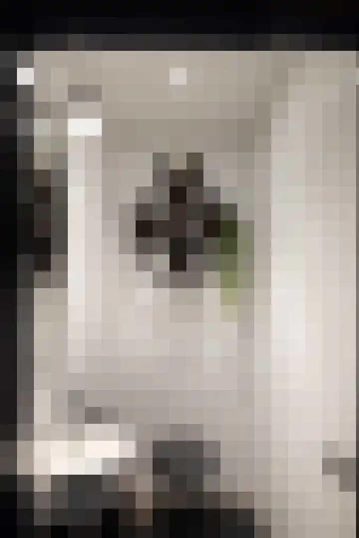 Beukenlaan 4 Doornspijk thumbnail 17