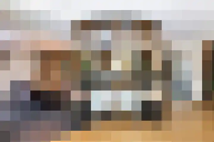 Beukenlaan 4 Doornspijk thumbnail 22
