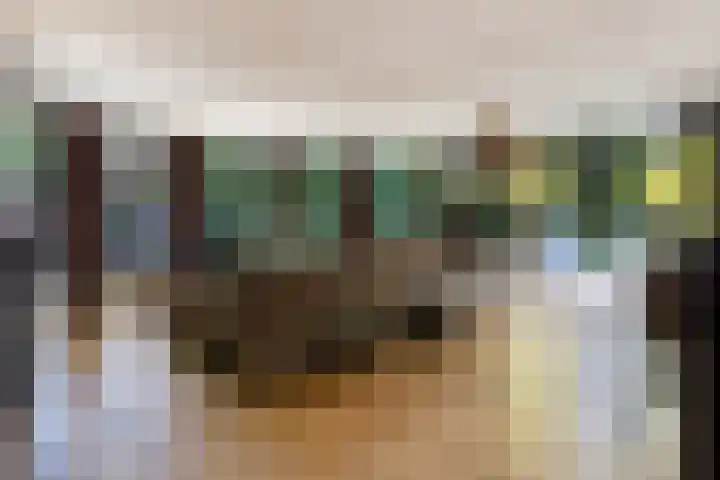 Beukenlaan 4 Doornspijk thumbnail 23