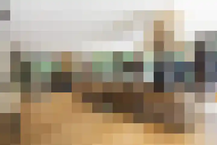 Beukenlaan 4 Doornspijk thumbnail 25