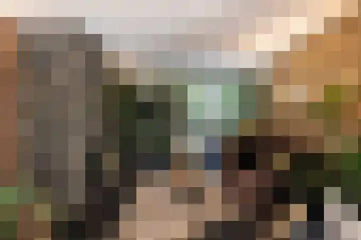 Beukenlaan 4 Doornspijk thumbnail 26