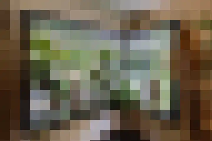 Beukenlaan 4 Doornspijk thumbnail 27