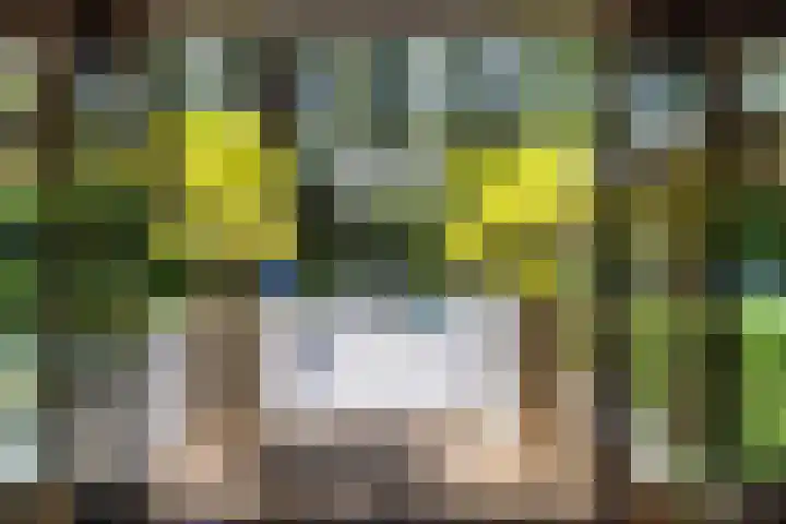 Beukenlaan 4 Doornspijk thumbnail 29
