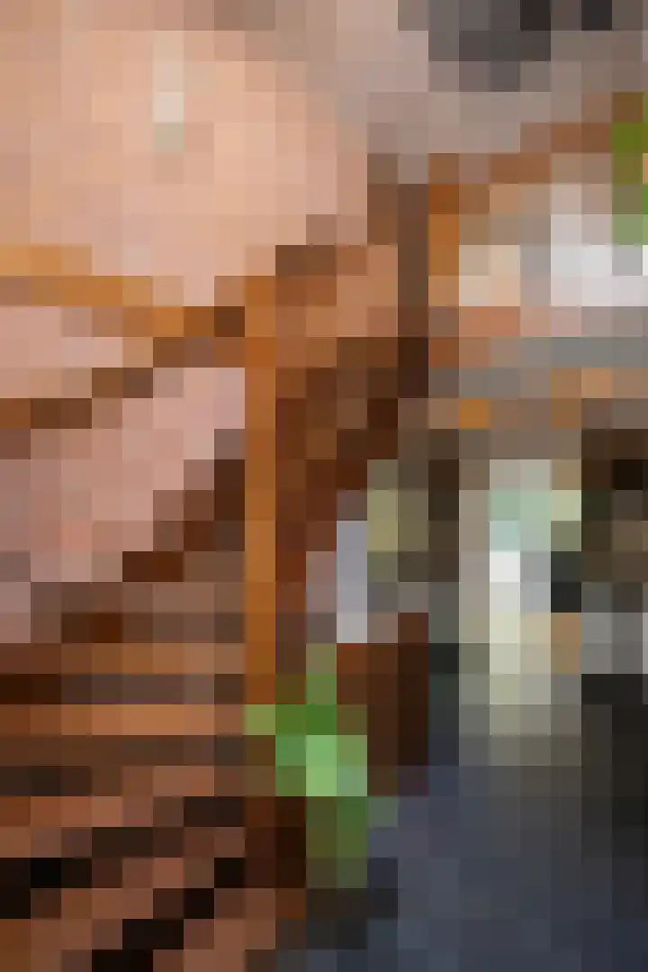 Beukenlaan 4 Doornspijk thumbnail 35