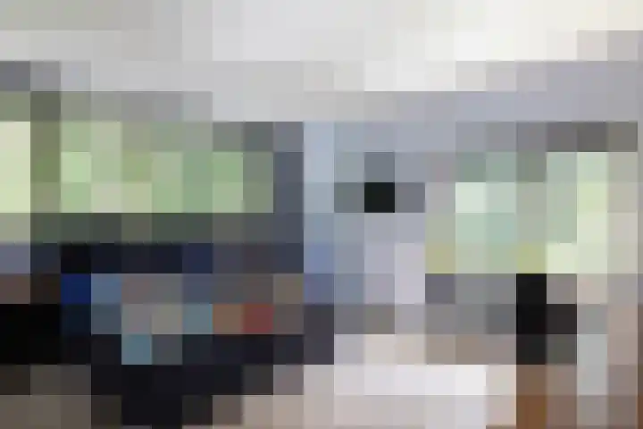 Beukenlaan 4 Doornspijk thumbnail 38