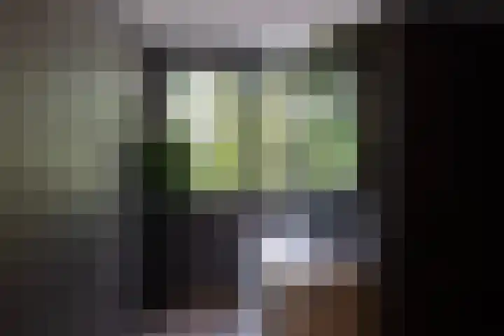 Beukenlaan 4 Doornspijk thumbnail 39