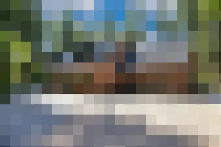 Beukenlaan 4 Doornspijk thumbnail 4