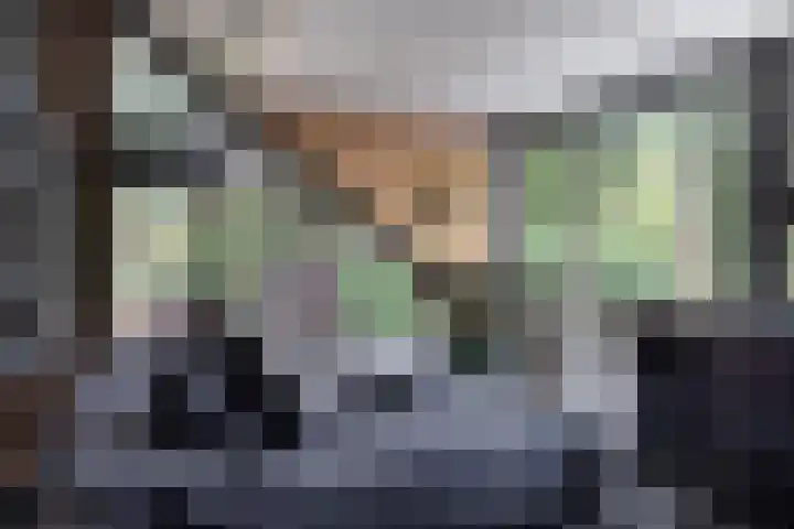 Beukenlaan 4 Doornspijk thumbnail 41