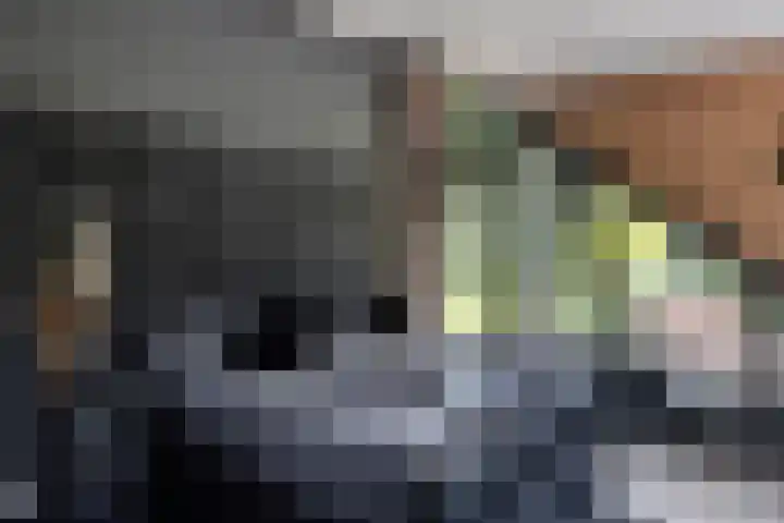 Beukenlaan 4 Doornspijk thumbnail 42
