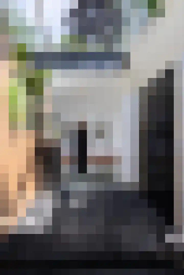 Beukenlaan 4 Doornspijk thumbnail 46