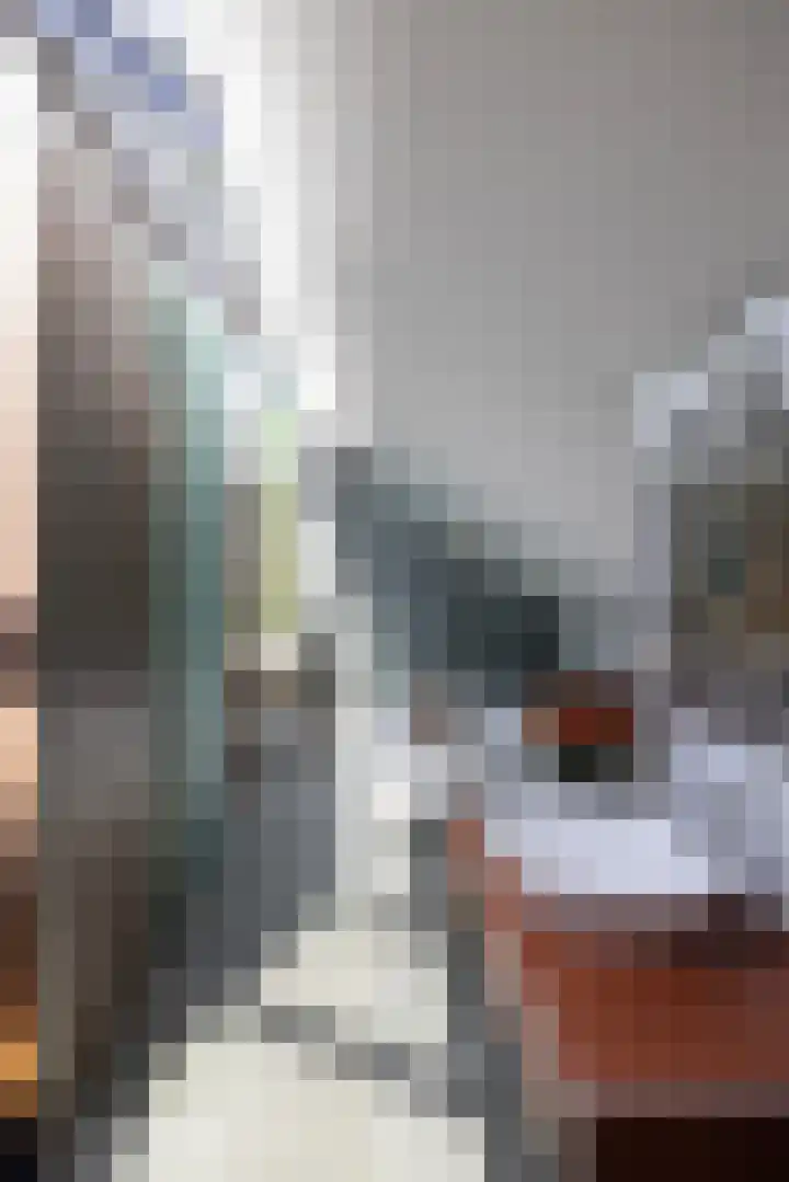 Beukenlaan 4 Doornspijk thumbnail 47