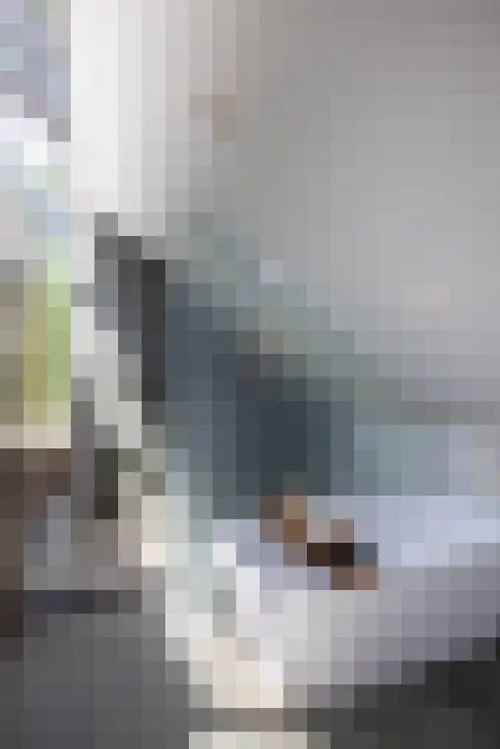 Beukenlaan 4 Doornspijk thumbnail 48