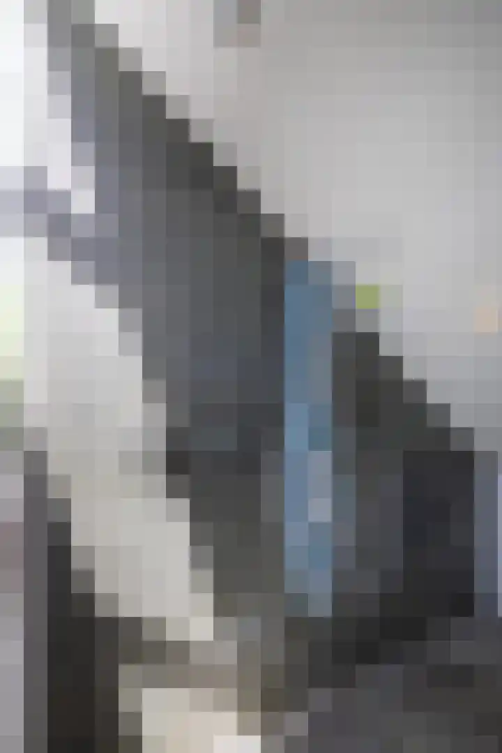 Beukenlaan 4 Doornspijk thumbnail 49