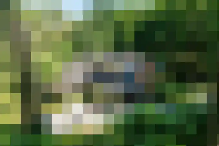 Beukenlaan 4 Doornspijk thumbnail 5