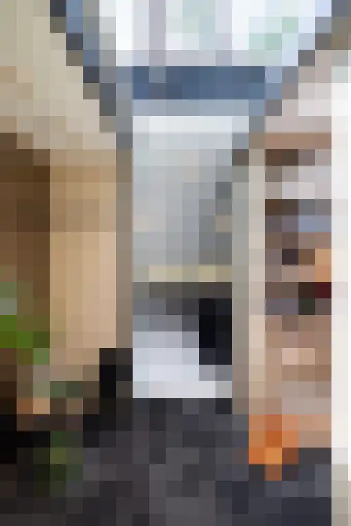 Beukenlaan 4 Doornspijk thumbnail 50