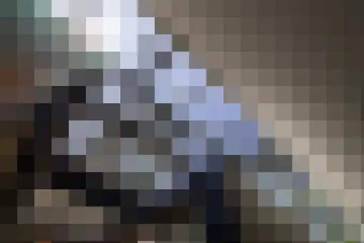 Beukenlaan 4 Doornspijk thumbnail 51