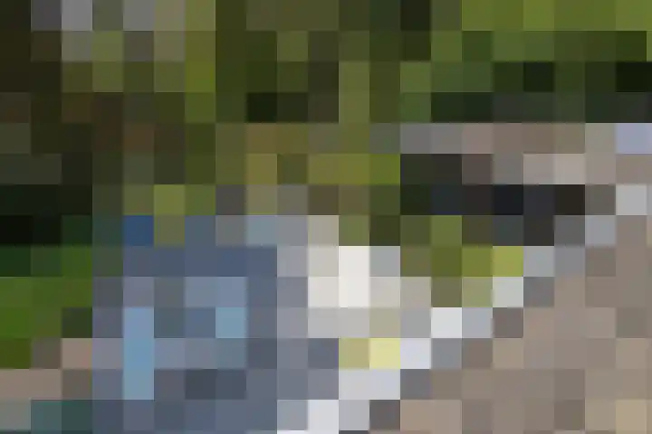 Beukenlaan 4 Doornspijk thumbnail 52