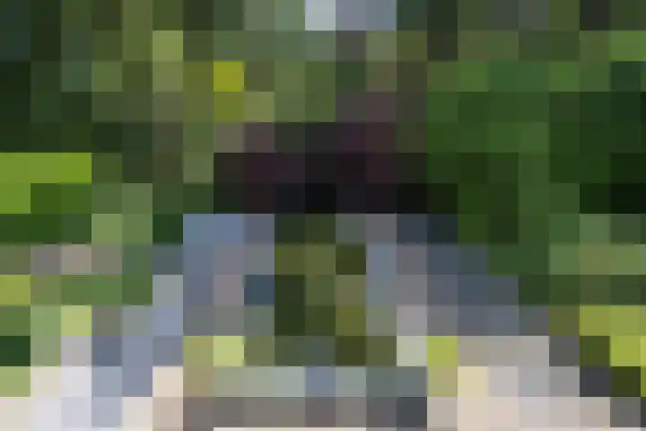 Beukenlaan 4 Doornspijk thumbnail 53