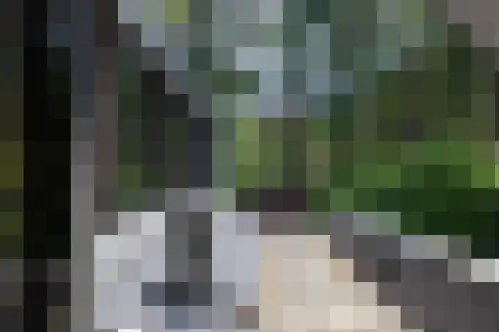 Beukenlaan 4 Doornspijk thumbnail 55