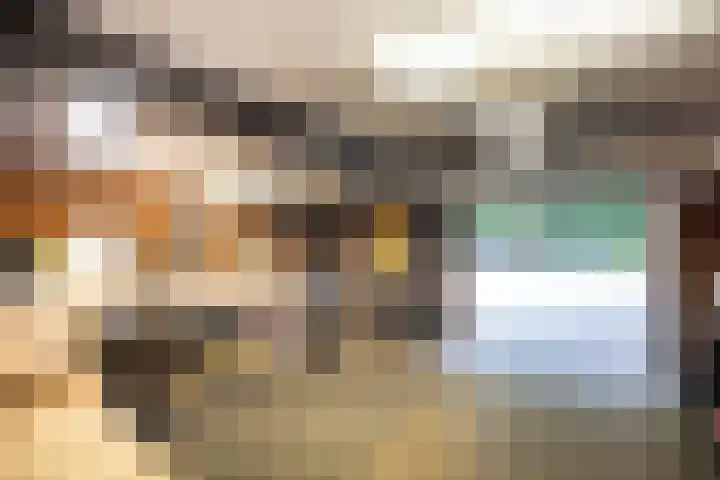 Beukenlaan 4 Doornspijk thumbnail 58