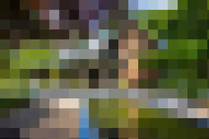 Beukenlaan 4 Doornspijk thumbnail 59