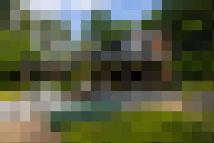 Beukenlaan 4 Doornspijk thumbnail 60