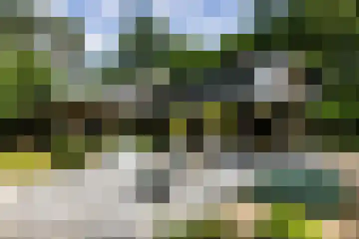 Beukenlaan 4 Doornspijk thumbnail 61