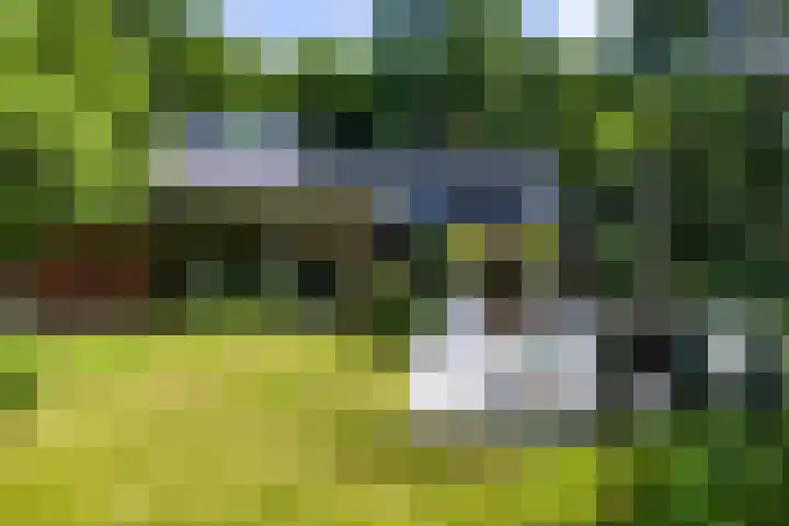 Beukenlaan 4 Doornspijk thumbnail 62