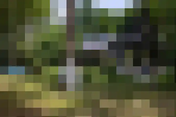 Beukenlaan 4 Doornspijk thumbnail 65