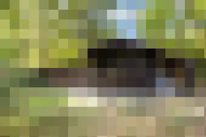 Beukenlaan 4 Doornspijk thumbnail 67