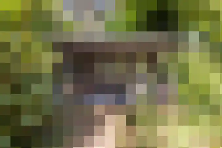 Beukenlaan 4 Doornspijk thumbnail 68