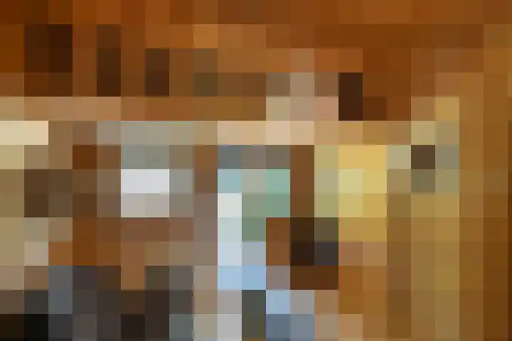 Beukenlaan 4 Doornspijk thumbnail 69