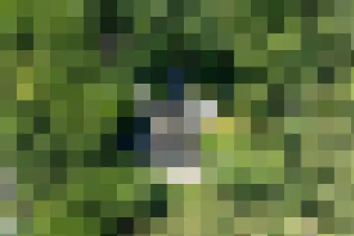 Beukenlaan 4 Doornspijk thumbnail 7
