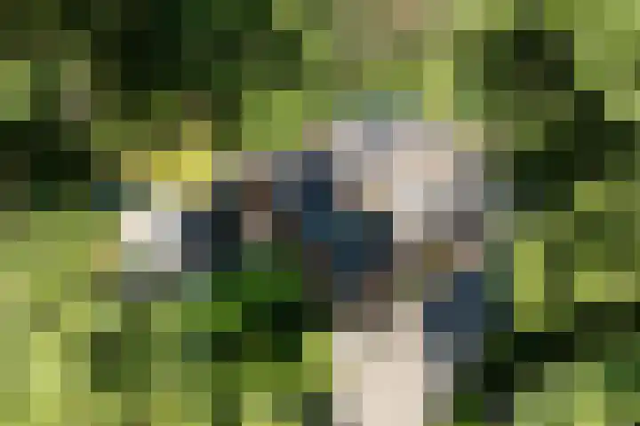 Beukenlaan 4 Doornspijk thumbnail 75