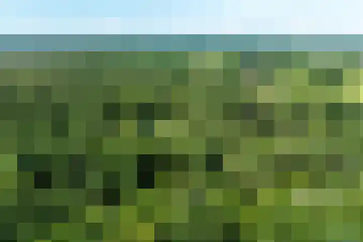 Beukenlaan 4 Doornspijk thumbnail 77