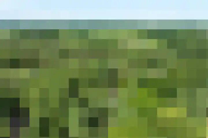 Beukenlaan 4 Doornspijk thumbnail 78