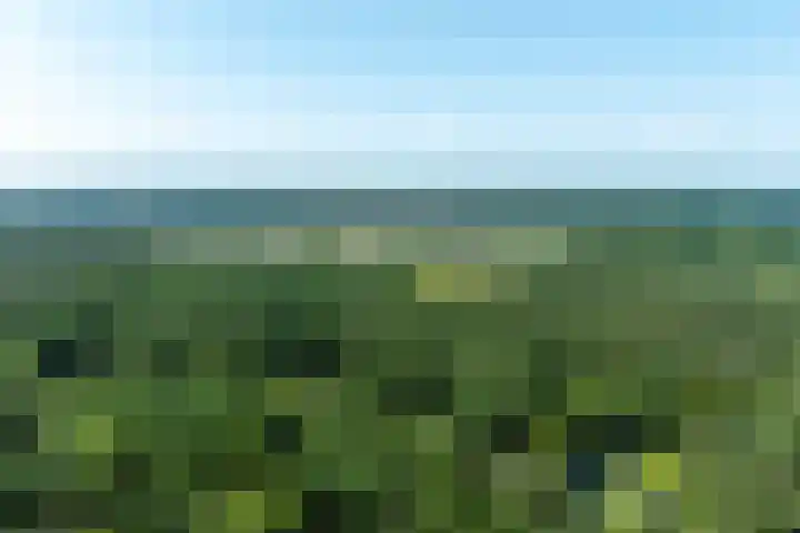 Beukenlaan 4 Doornspijk thumbnail 79