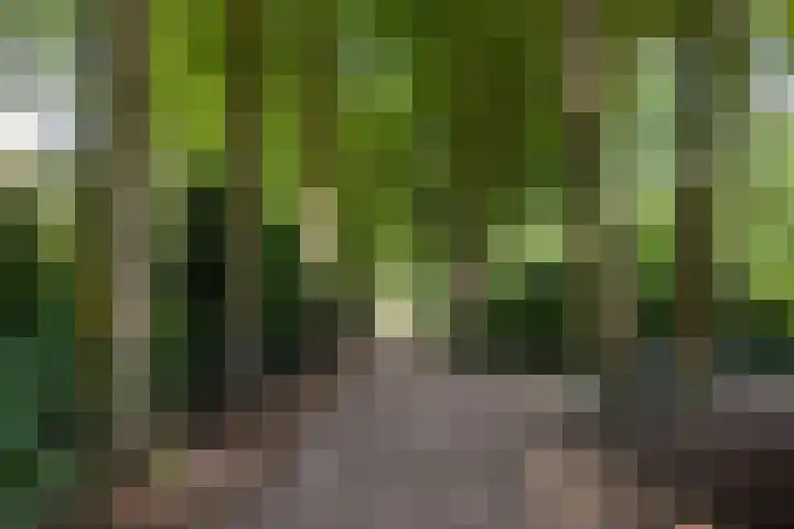 Beukenlaan 4 Doornspijk thumbnail 8