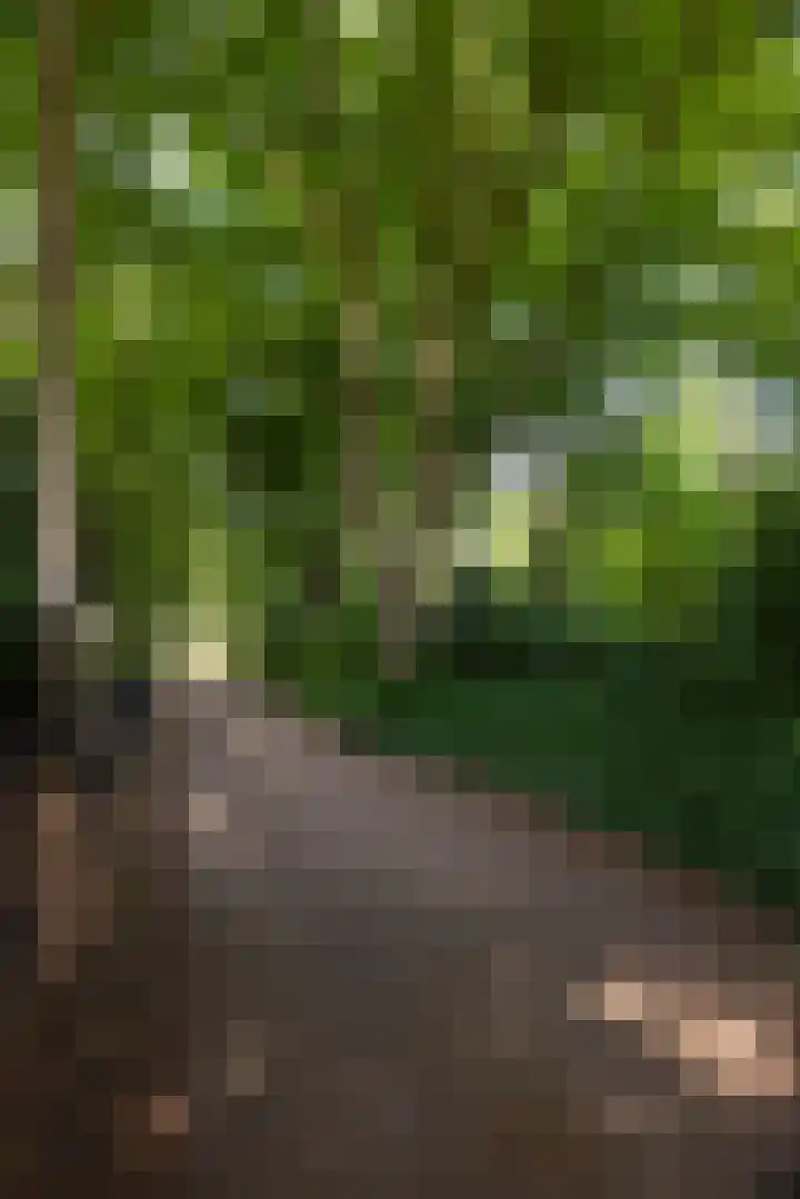 Beukenlaan 4 Doornspijk thumbnail 9