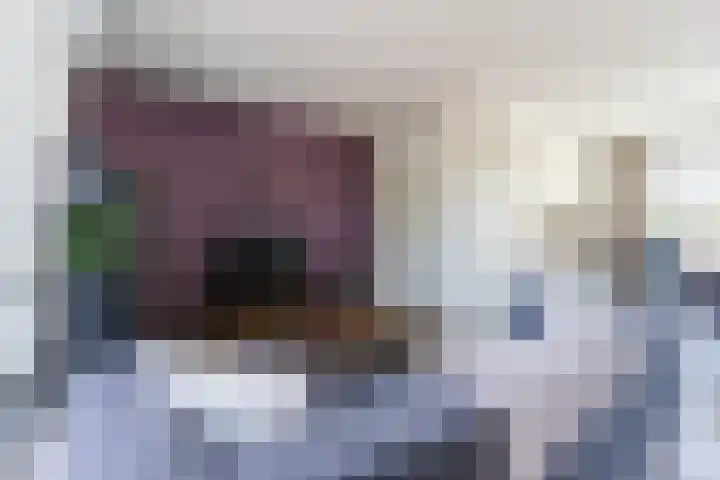 Beukenlaan 4 g Sterksel thumbnail 17