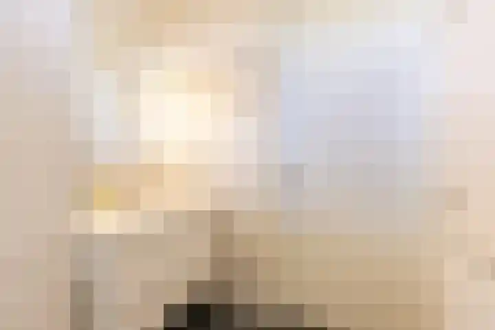 Beukenlaan 4 g Sterksel thumbnail 24