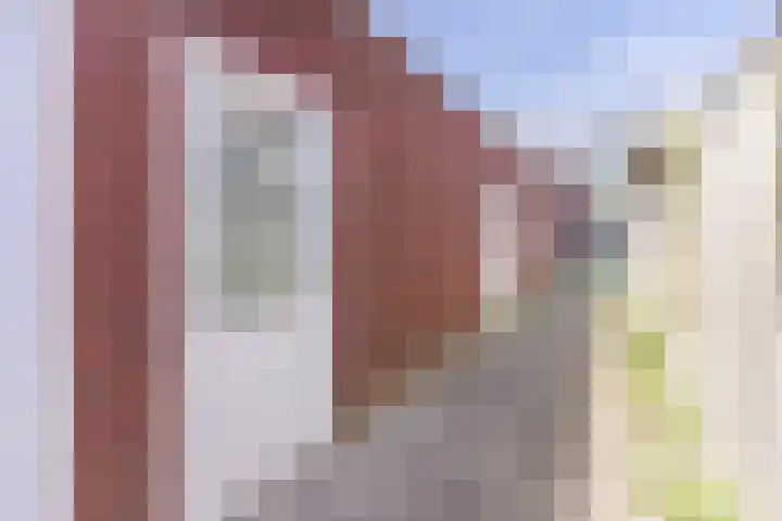 Beukenlaan 4 g Sterksel thumbnail 29