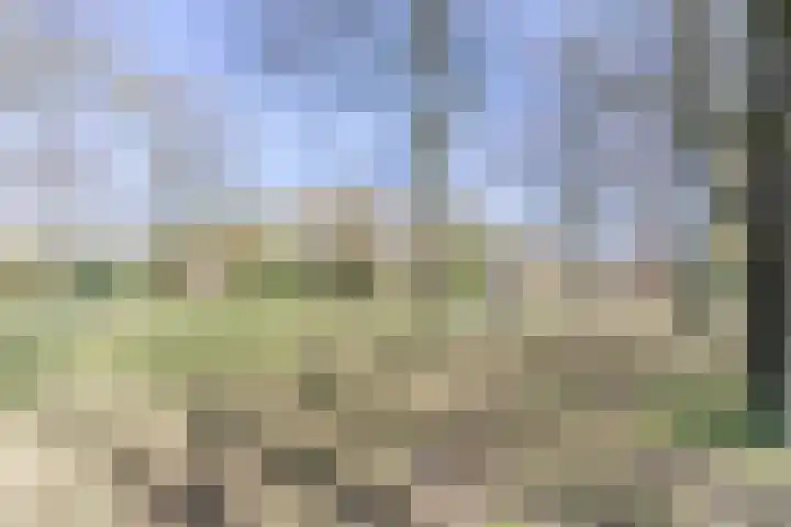 Beukenlaan 4 g Sterksel thumbnail 31