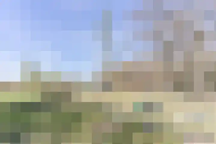 Beukenlaan 4 g Sterksel thumbnail 32