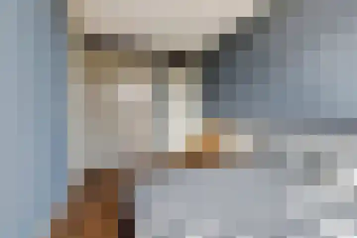 Beukenlaan 4 h Sterksel thumbnail 17