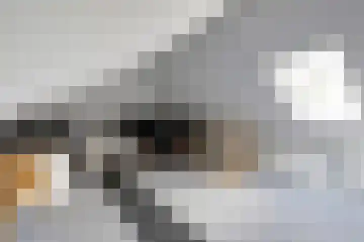 Beukenlaan 4 h Sterksel thumbnail 20